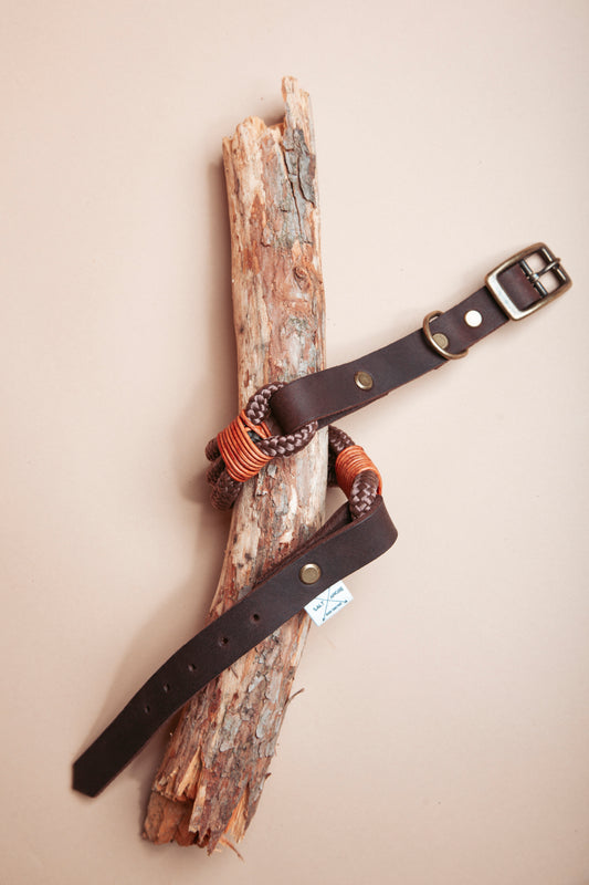 „Robustes Hundehalsband aus  Kletterseil und weichem Fettleder  – langlebige Dogwear. Das Hundezubehör für den Alltag in verschiedenen Farbtönen!" Mit stabilen Karabinern und wasserabweisenden Seil, für dein nächstes Abenteuer! 