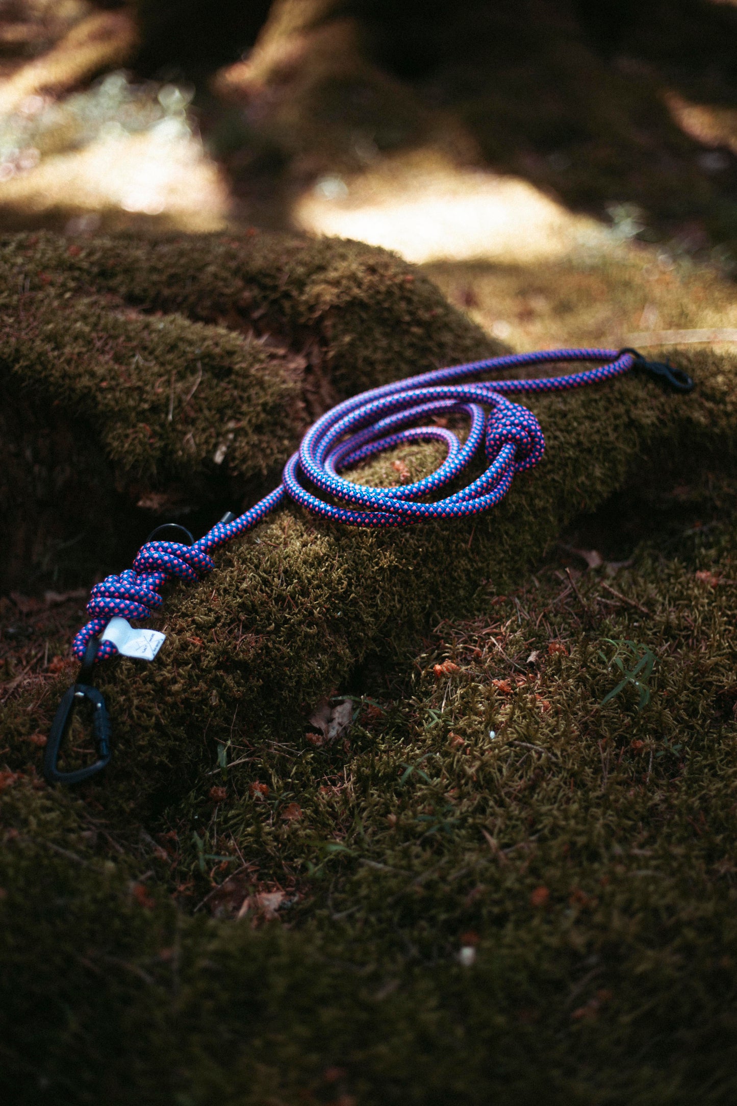 Hundeleine Mountain Climber | Outdoorleine aus Kletterseil | Stufenlos verstellbar