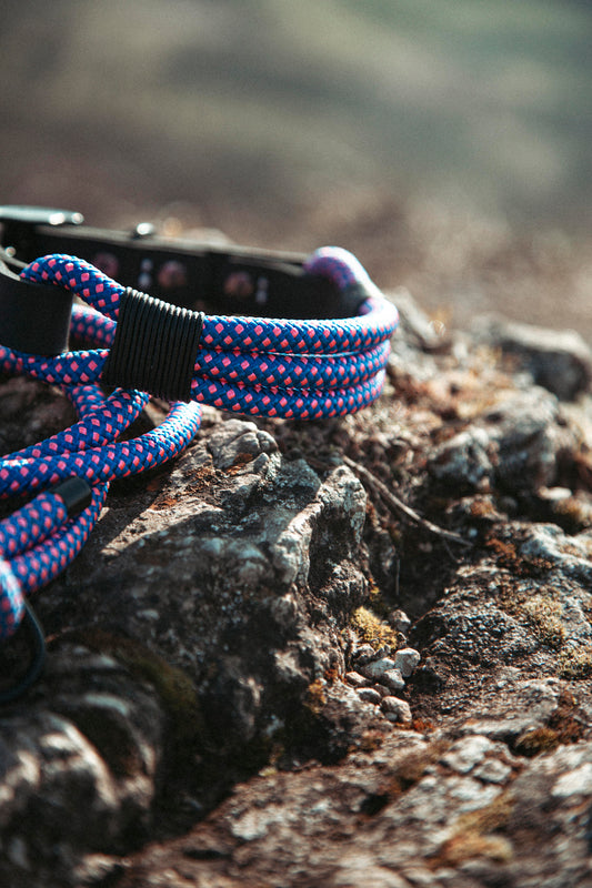 Hundehalsband - „Mountain Climber“ - Northern Summit Collection