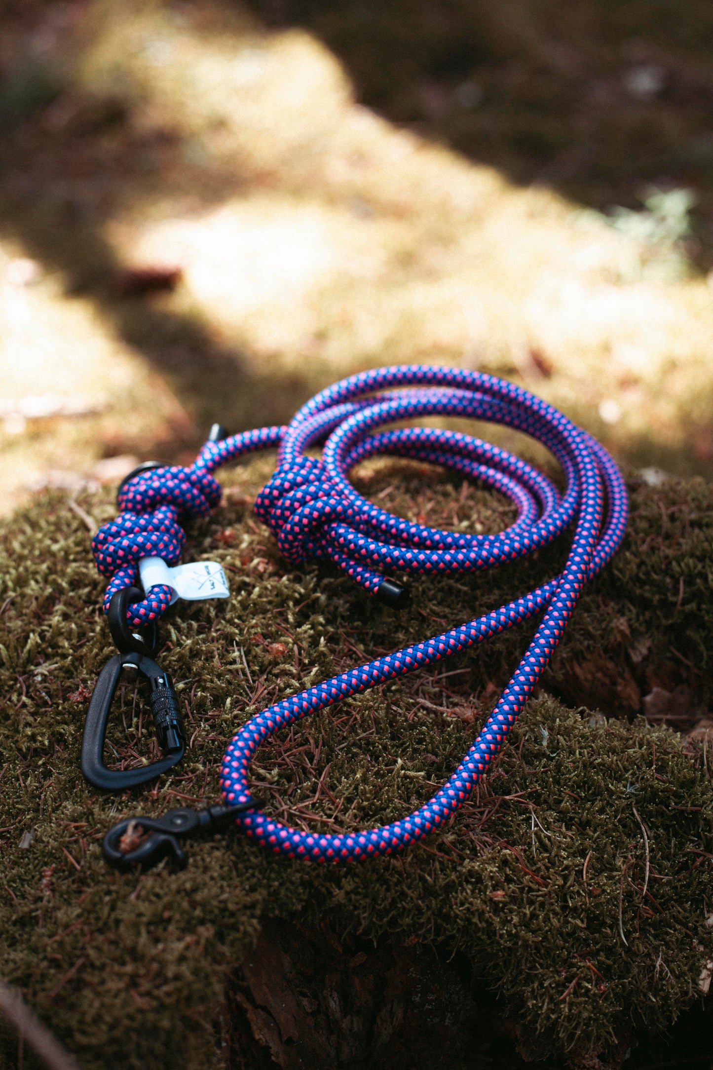 Hundeleine Mountain Climber | Outdoorleine aus Kletterseil | Stufenlos verstellbar