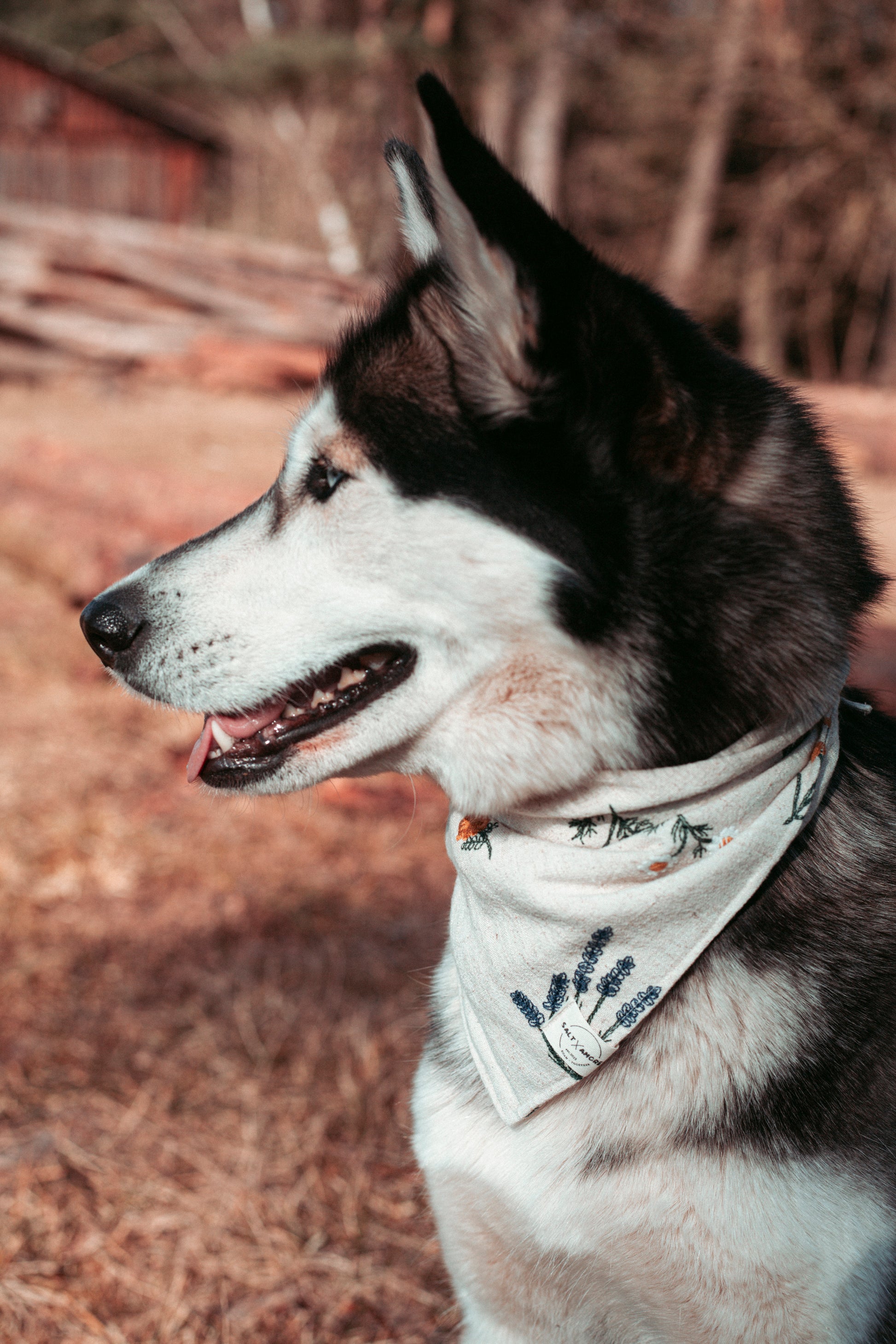 Handgemachtes Boho-Hundehalstuch aus Leinen mit floraler Stickerei – leicht, stilvoll & ideal. Jetzt online shoppen.