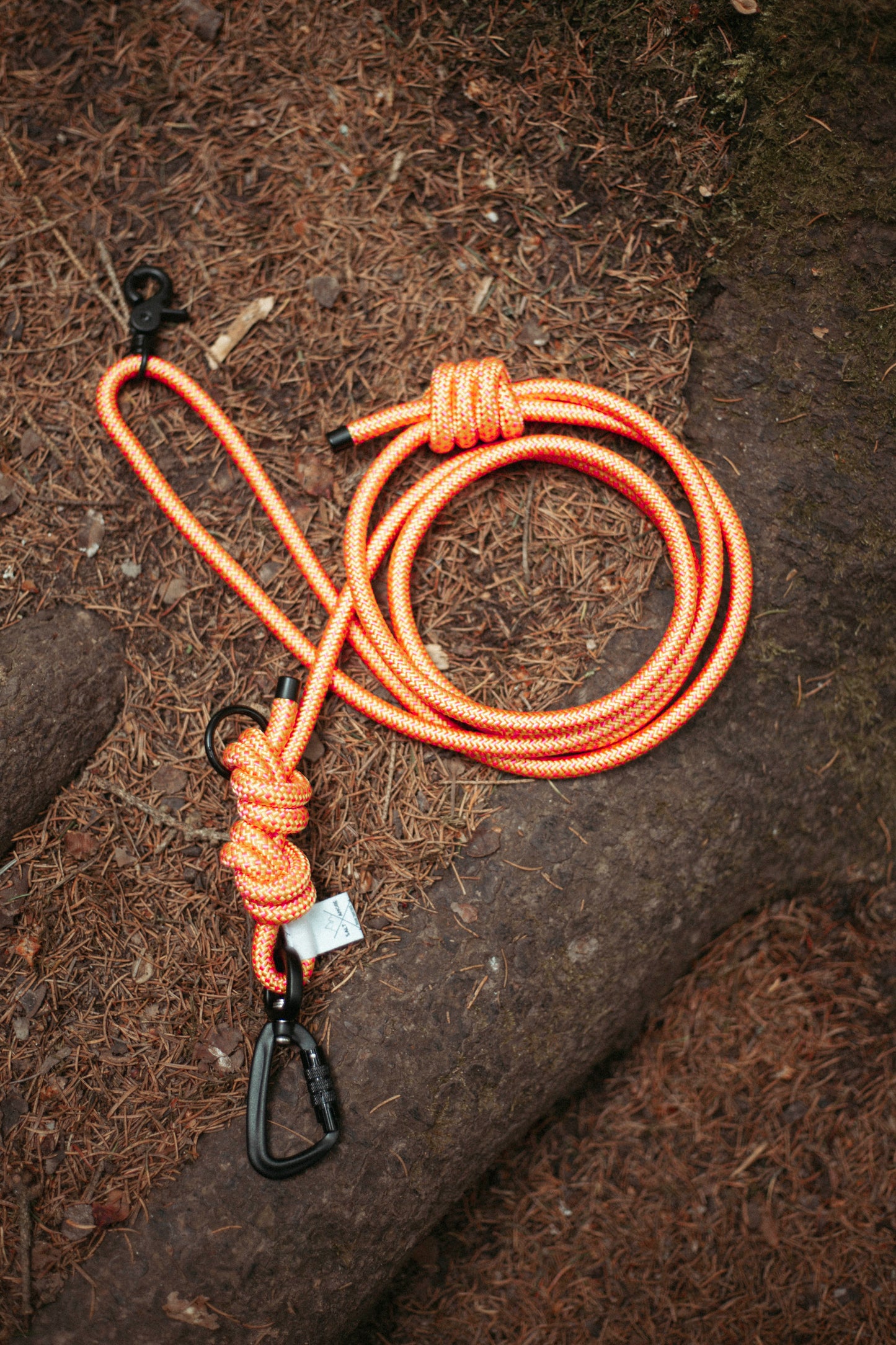 Hundeleine Mountain Climber | Outdoorleine aus Kletterseil | Stufenlos verstellbar