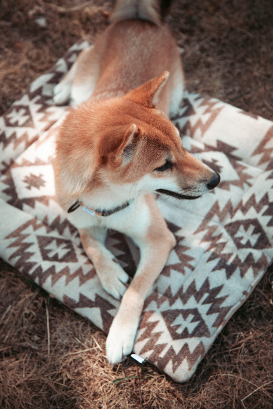 Travel Blanket | Basecamp | Roots of the North