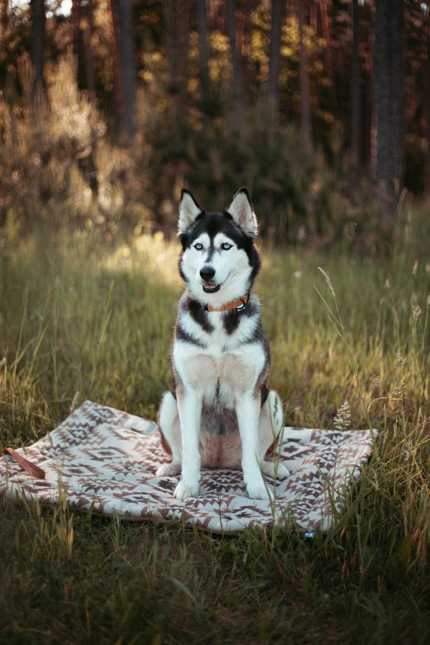 Travel Blanket | Basecamp | Roots of the North