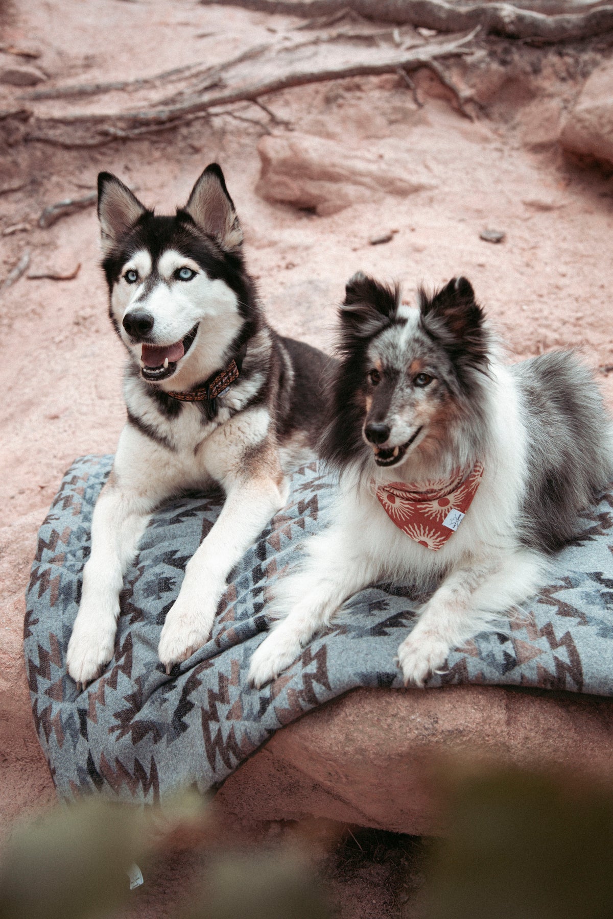 Pine & Peak - Basecamp | Travel Blanket