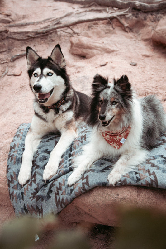 Travel Blanket | Basecamp | Pine & Peak