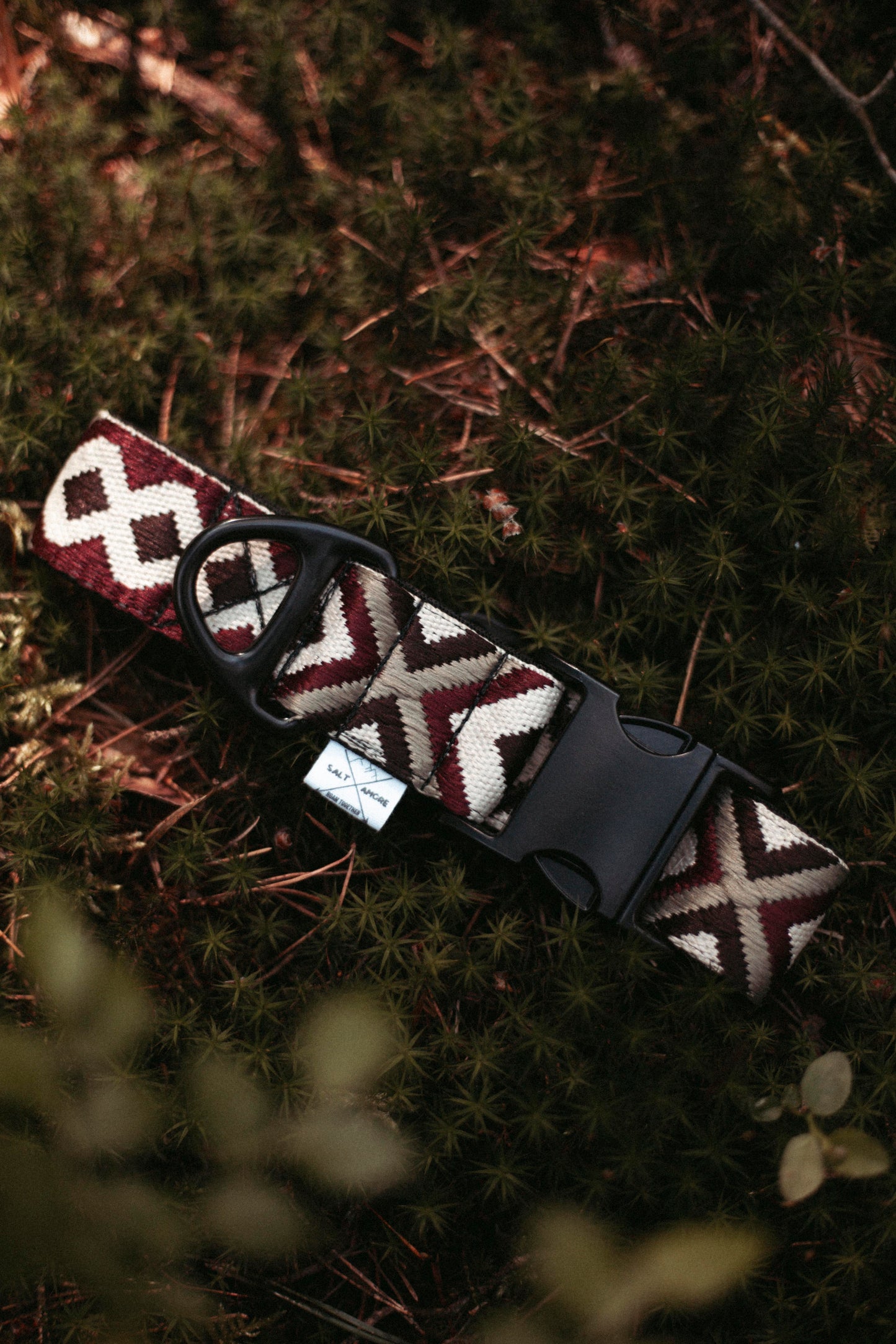 Hundehalsband | Redwood Roamer