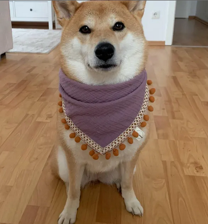 Du liebst den Bohostyle und möchtest ihn für deinen Hund? Mit diesem süßen Hundehalstuch liegt dein Vierbeiner voll im Trend. Handgemachtes Hundezubehör hier shoppen.