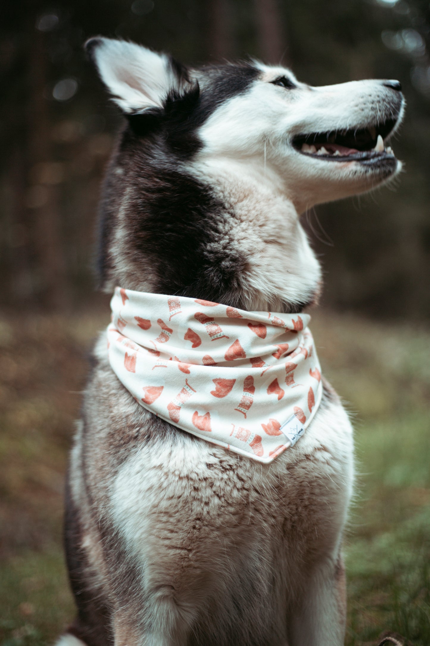 Hundehalstuch -  Frosty Paw
