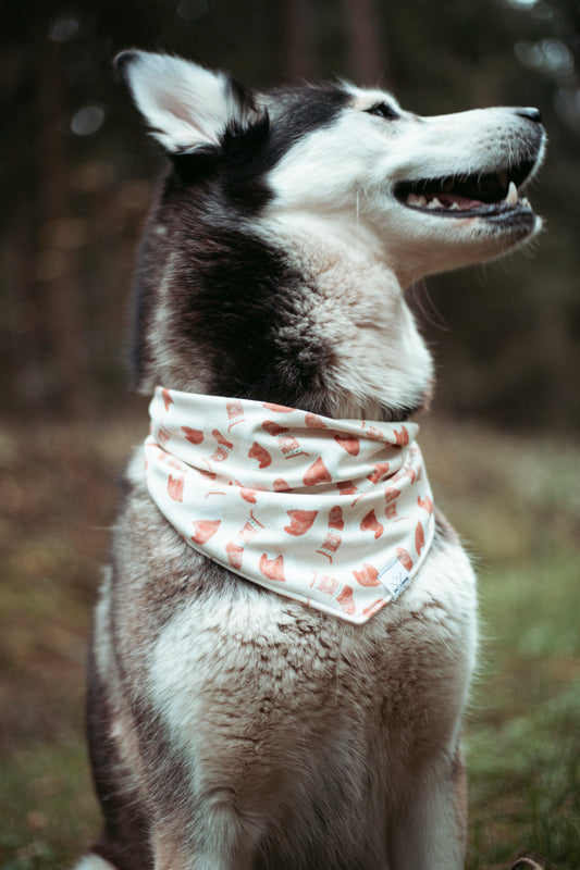 Hundehalstuch -  Frosty Paw