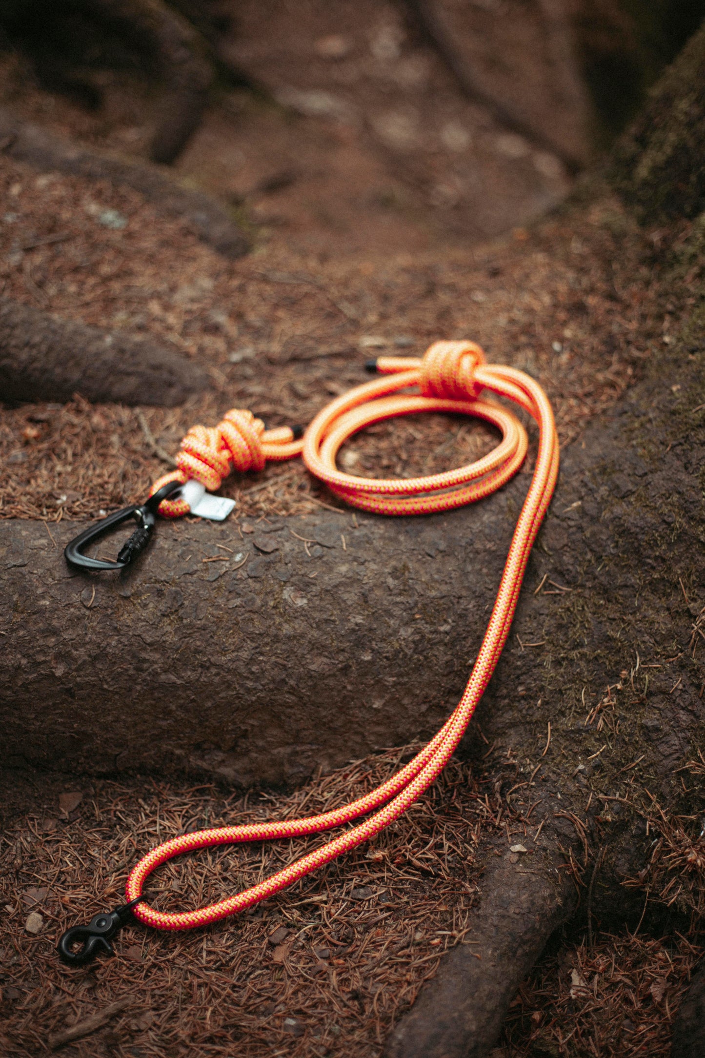 Hundeleine Mountain Climber | Outdoorleine aus Kletterseil | Stufenlos verstellbar