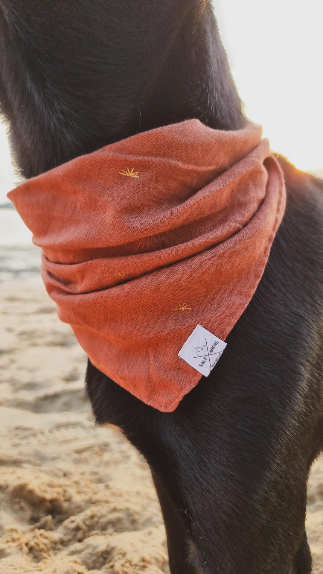 Hundehalstuch Sun Haze | Handgemachtes Bandana aus Bio-Baumwolle