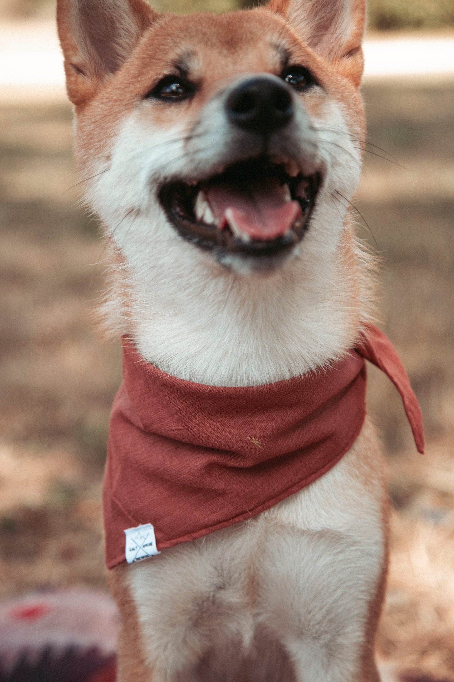 Hundehalstuch Sun Haze | Handgemachtes Bandana aus Bio-Baumwolle