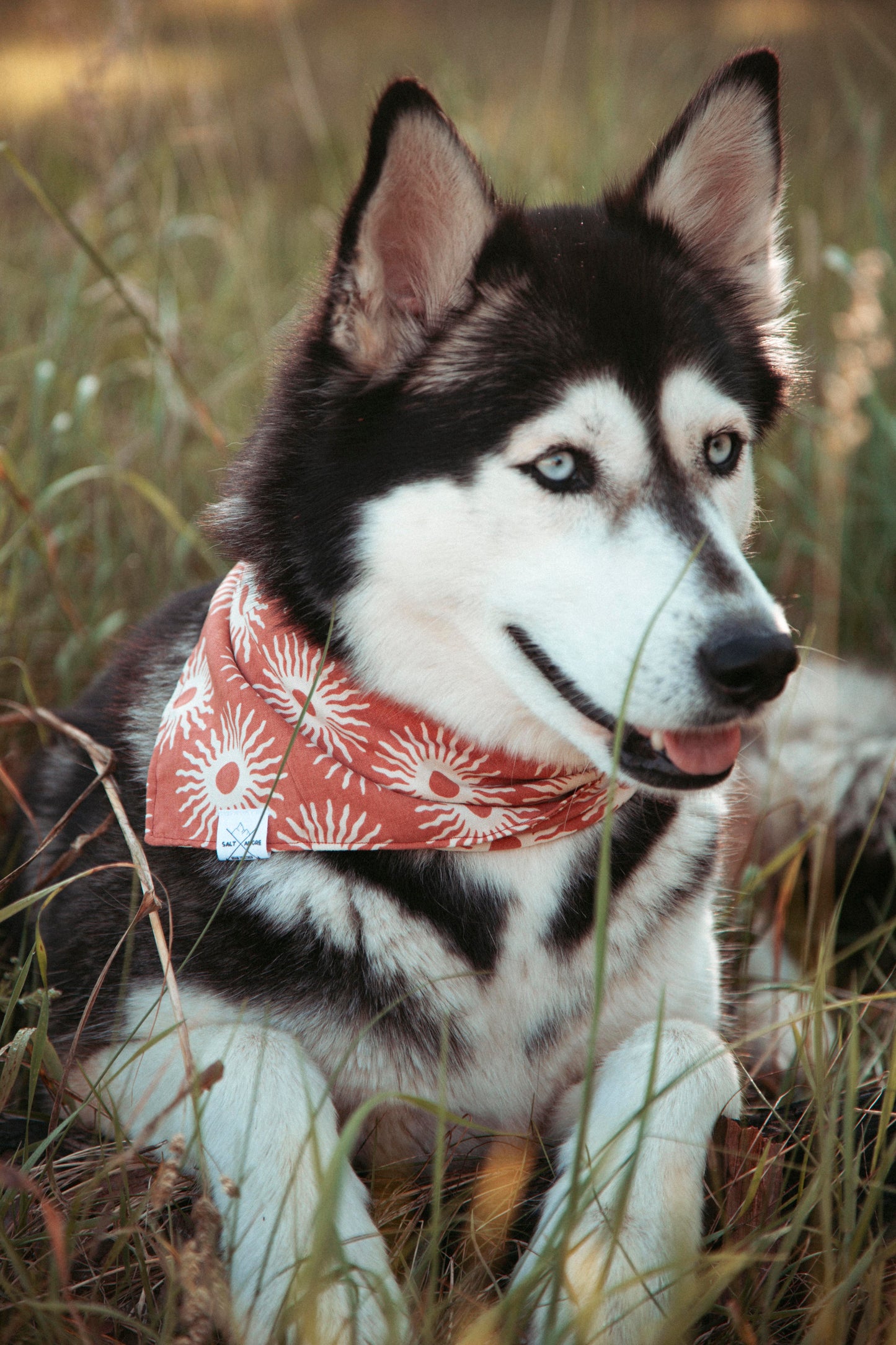 Hundehalstuch Solstice | Handgemachtes Bandana im Bohostil