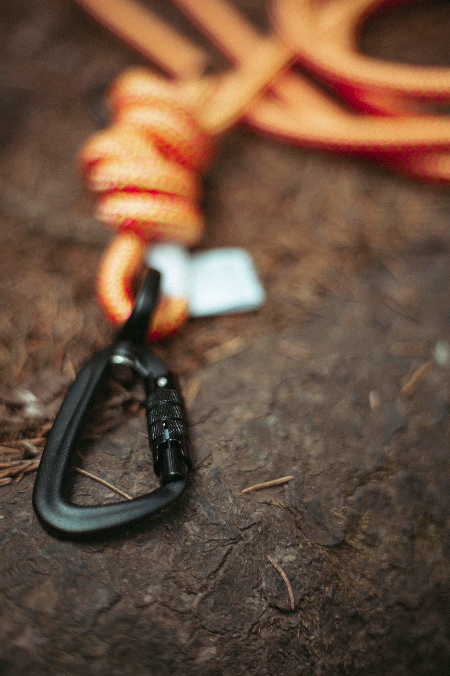 Hundeleine Mountain Climber | Outdoorleine aus Kletterseil | Stufenlos verstellbar