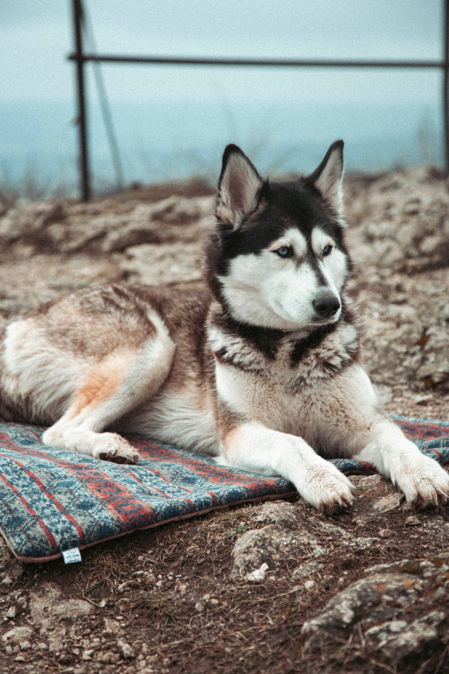 Travel Blanket | Basecamp | Northern Summit Collection