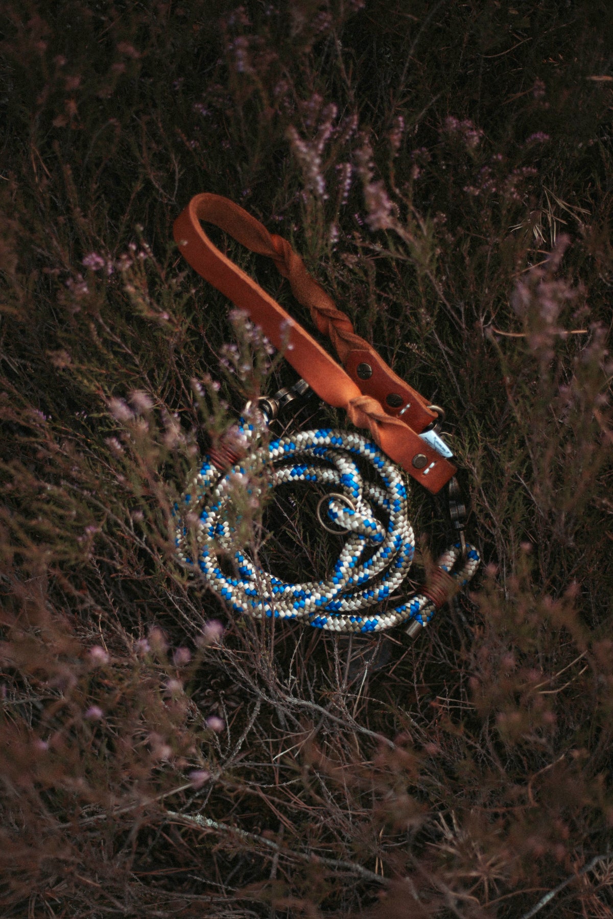 Nordic Trail | Multifunktionale Leine