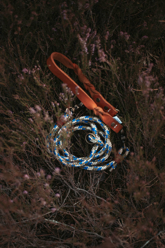 Hundeleine Nordic Trail | Multifunktionale Leine aus Paracord & Leder | Mix & Match