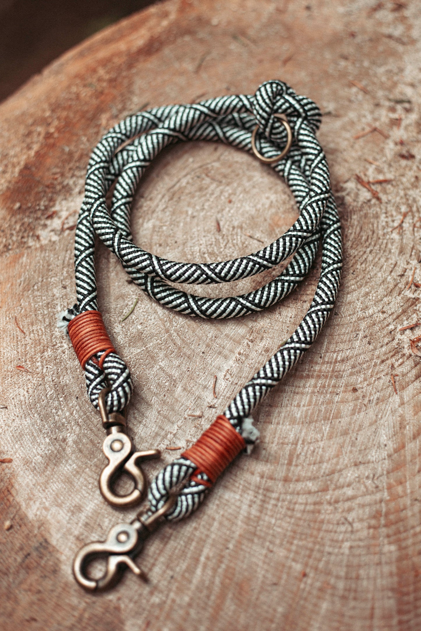 Hundeleine Highland | Multifunktionale Leine aus Paracord & Leder | Mix & Match