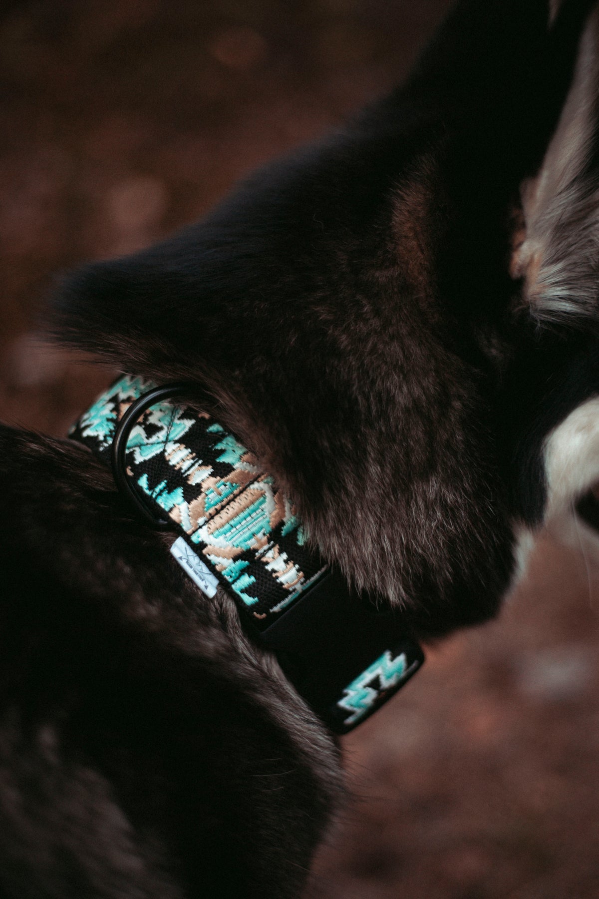 Ice Peak | verstellbares Hundehalsband