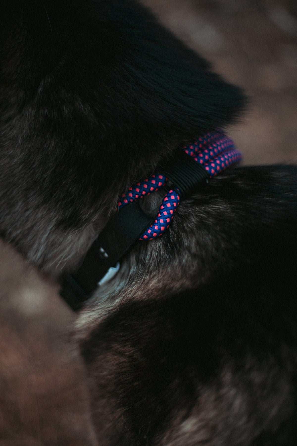 Mountain Climber | verstellbares Hundehalsband
