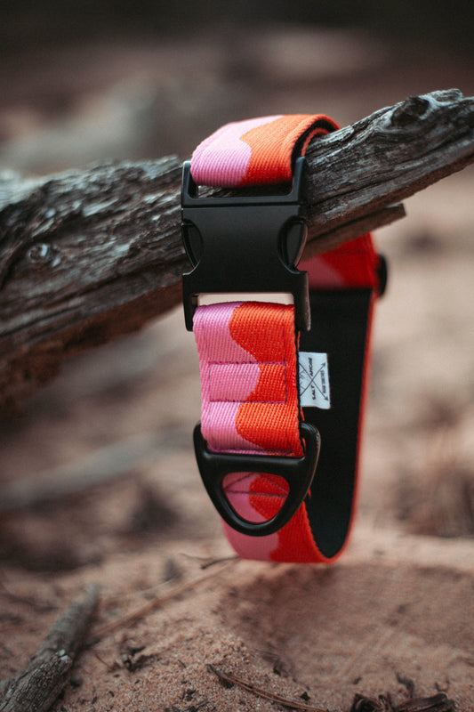 Hundehalsband | Coral Heat | verstellbares Halsband für Hunde