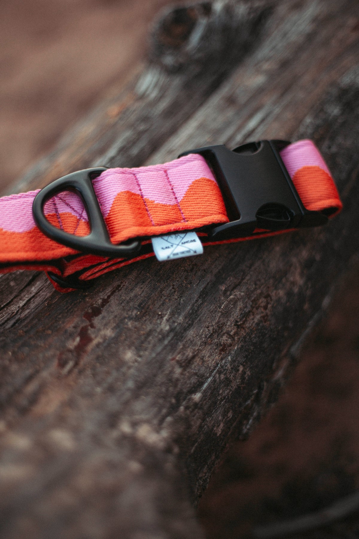 Coral Heat | verstellbares Hundehalsband