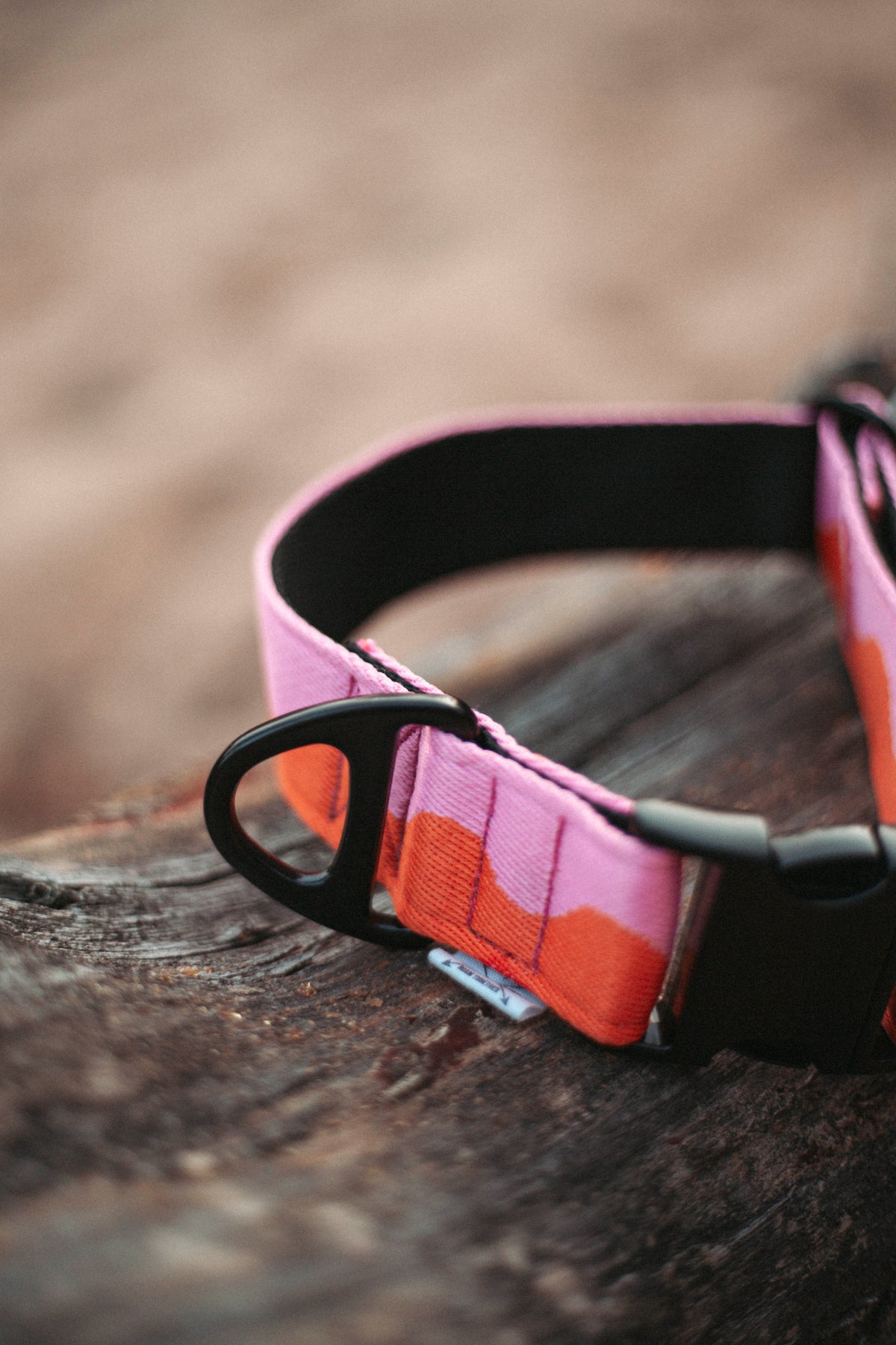 Coral Heat | verstellbares Hundehalsband