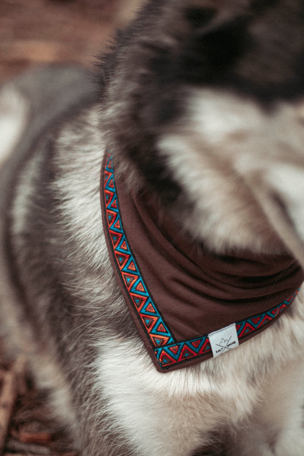 Trailbound | Hundehalstuch