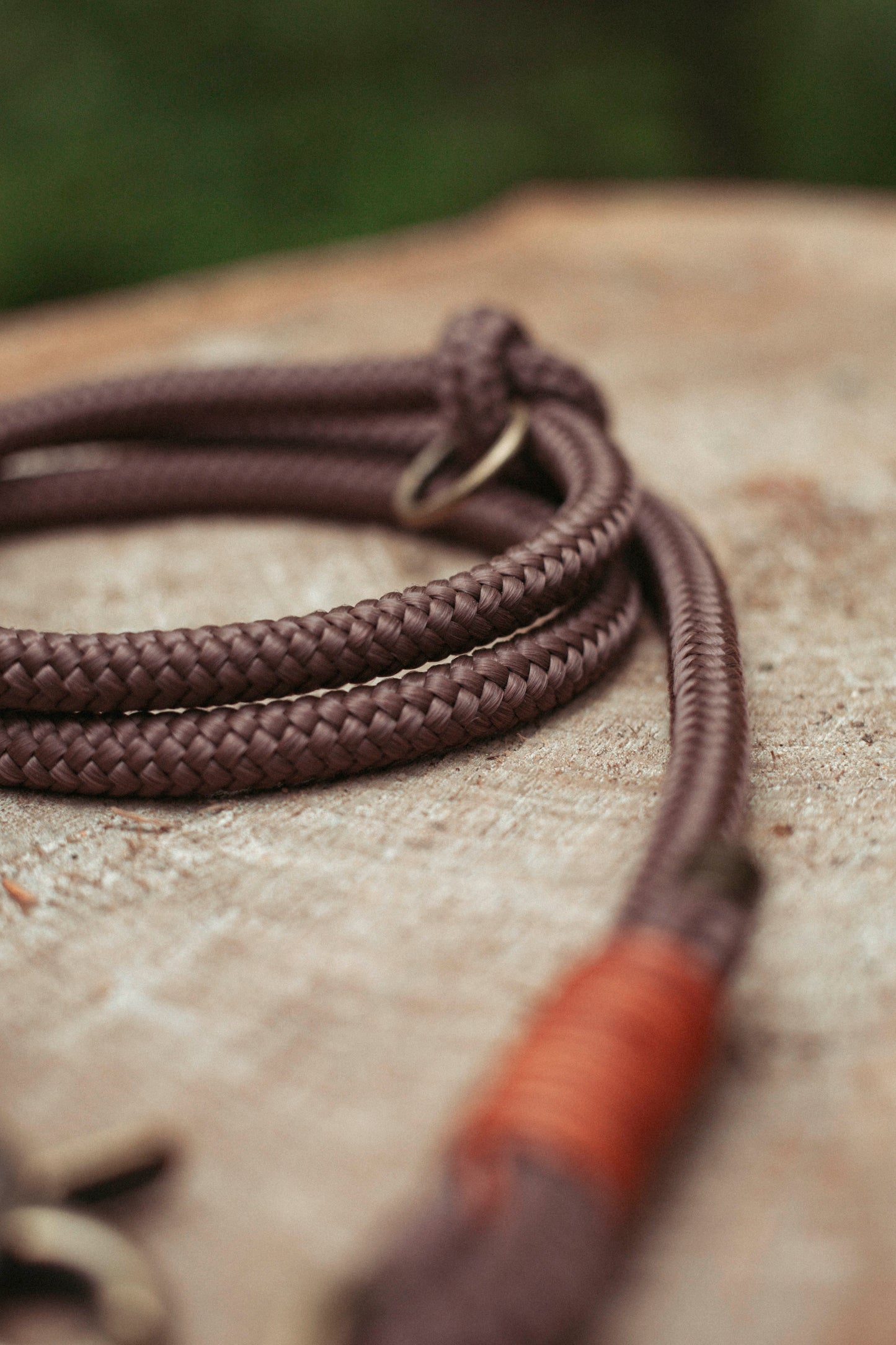 Hundeleine Wilderness | Multifunktionale Leine aus Paracord & Leder | Mix & Match