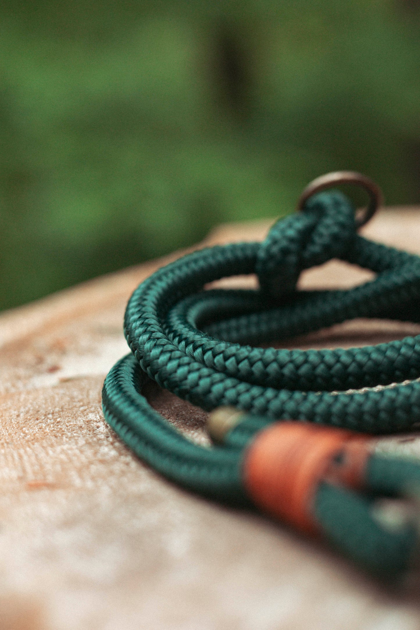 Hundeleine Wilderness | Multifunktionale Leine aus Paracord & Leder | Mix & Match