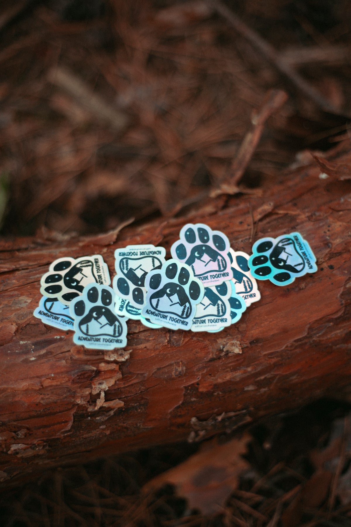 Adventure Together | Sticker