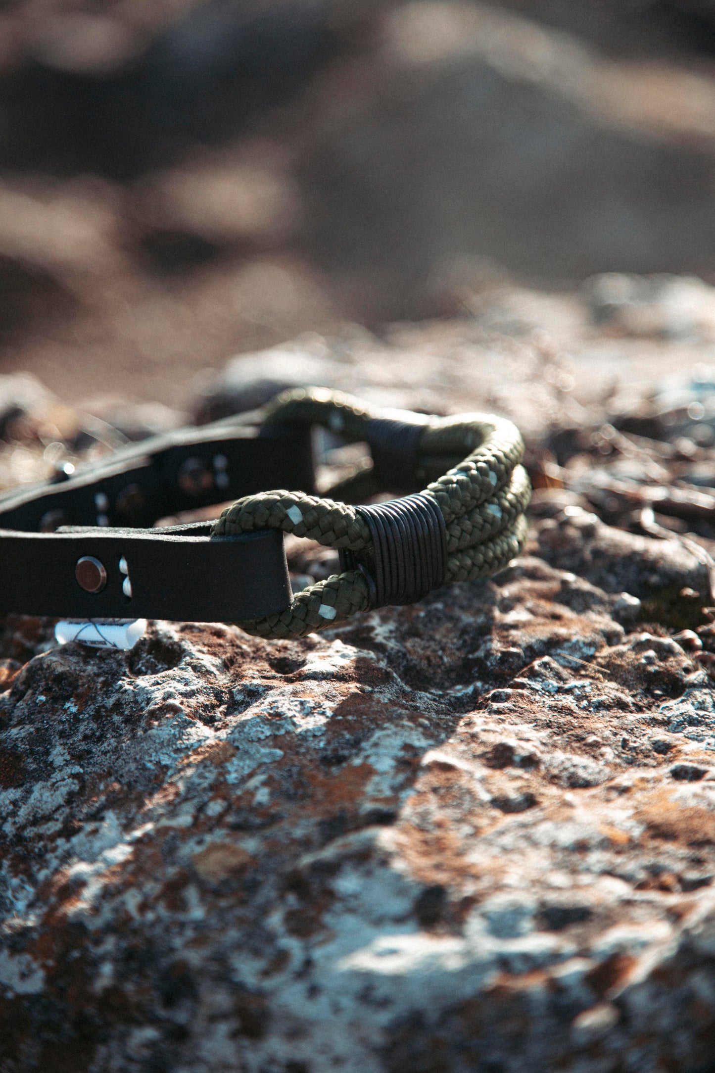 Hundehalsband Mountain Climber | Northern Summit Collection