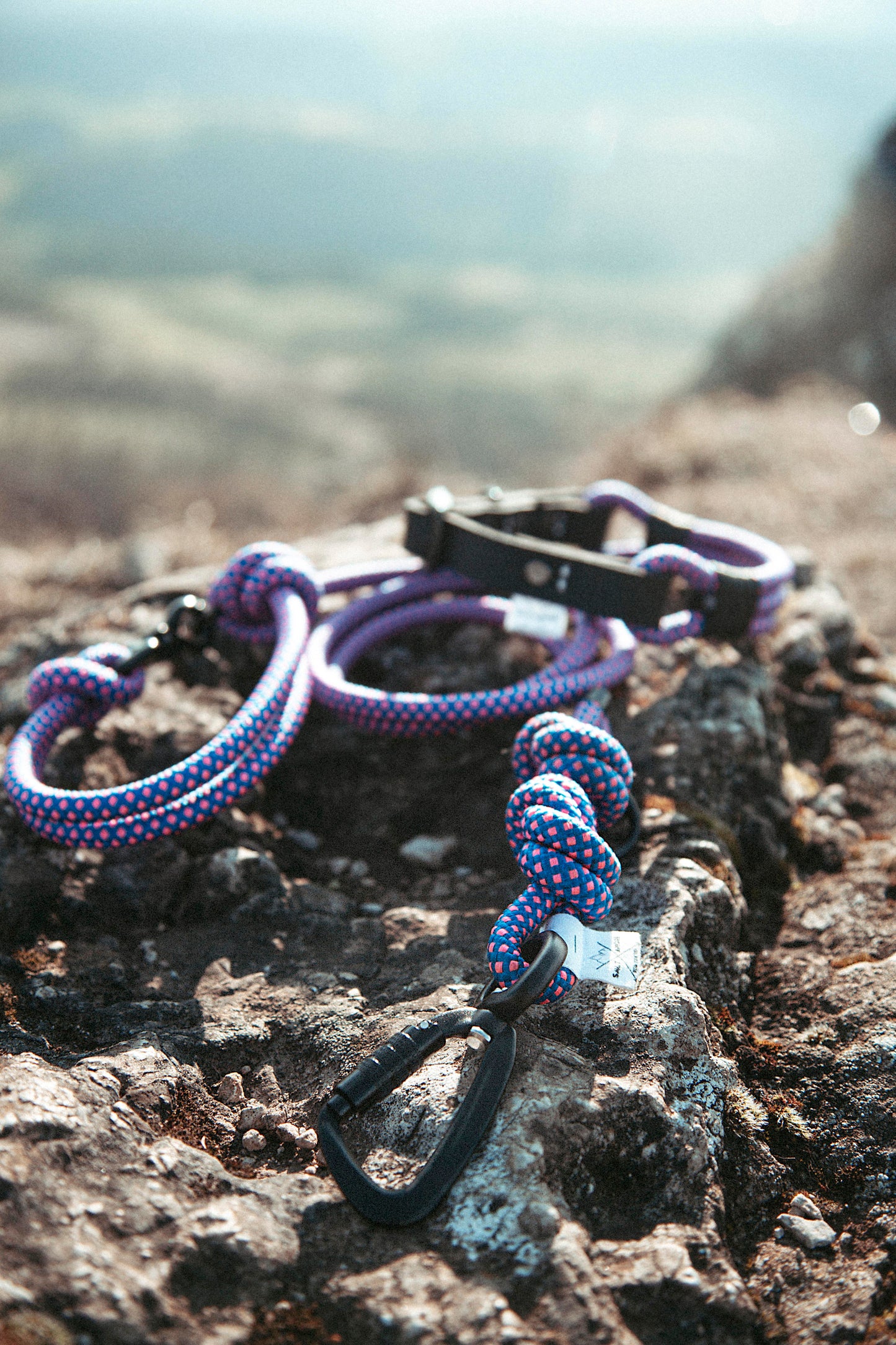 Führleine | Mountain Climber | Verstellbare Outdoor Hundeleine aus Kletterseil